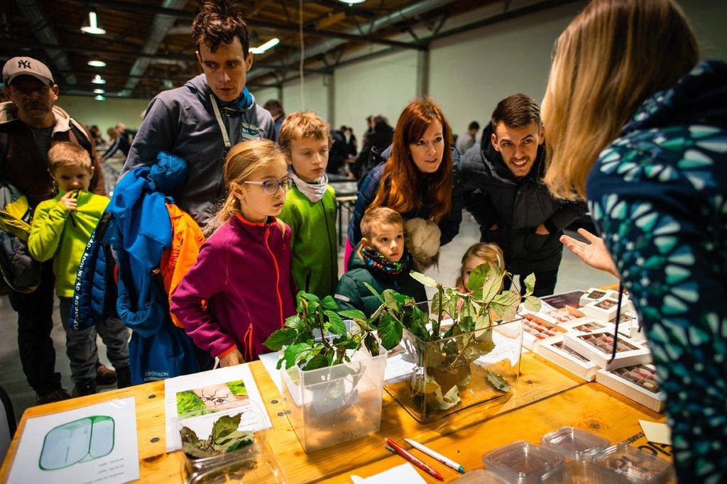 Prodejní výstava brouků a motýlů, Výstaviště Kroměříž, sobota 31.1.2026