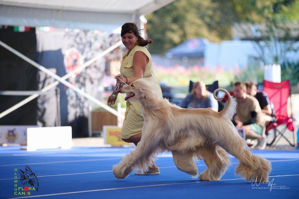 Floracanis 2026 - Olomouc