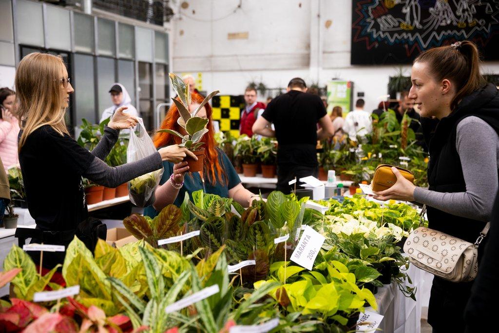 Happyplant Říčany - Prodejní akce pokojových rostlin