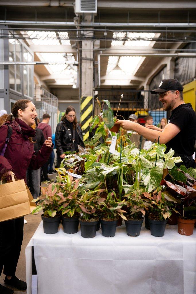 Happyplant Říčany - Prodejní akce pokojových rostlin