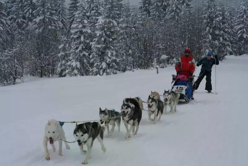 Ledová jízda – Memoriál Dr. Václava Vojtěcha 2026