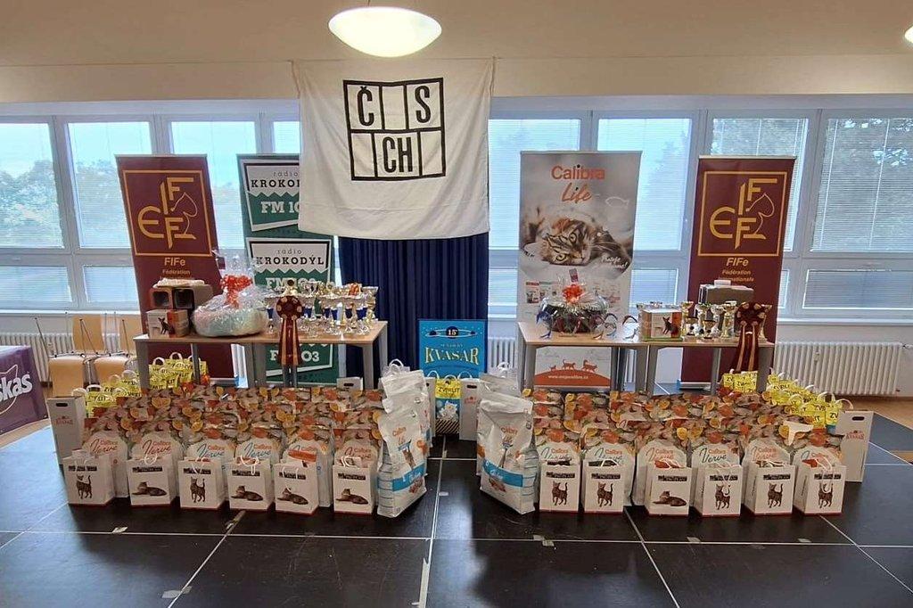 Mezinárodní výstava koček v Brně