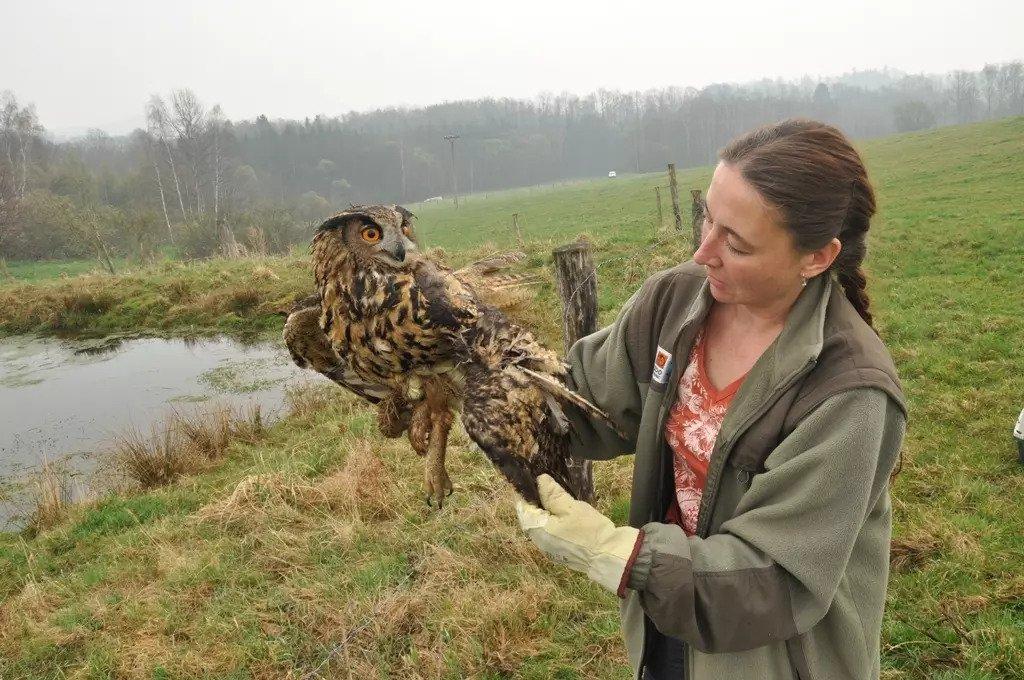 Zimní přednášky v Domě přírody Českého ráje