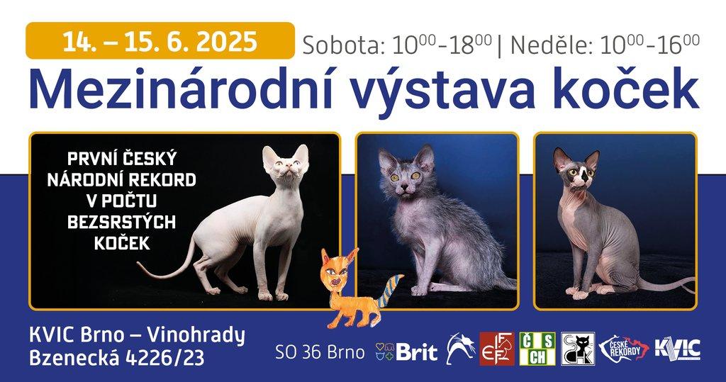 Mezinárodní výstava koček v Brně