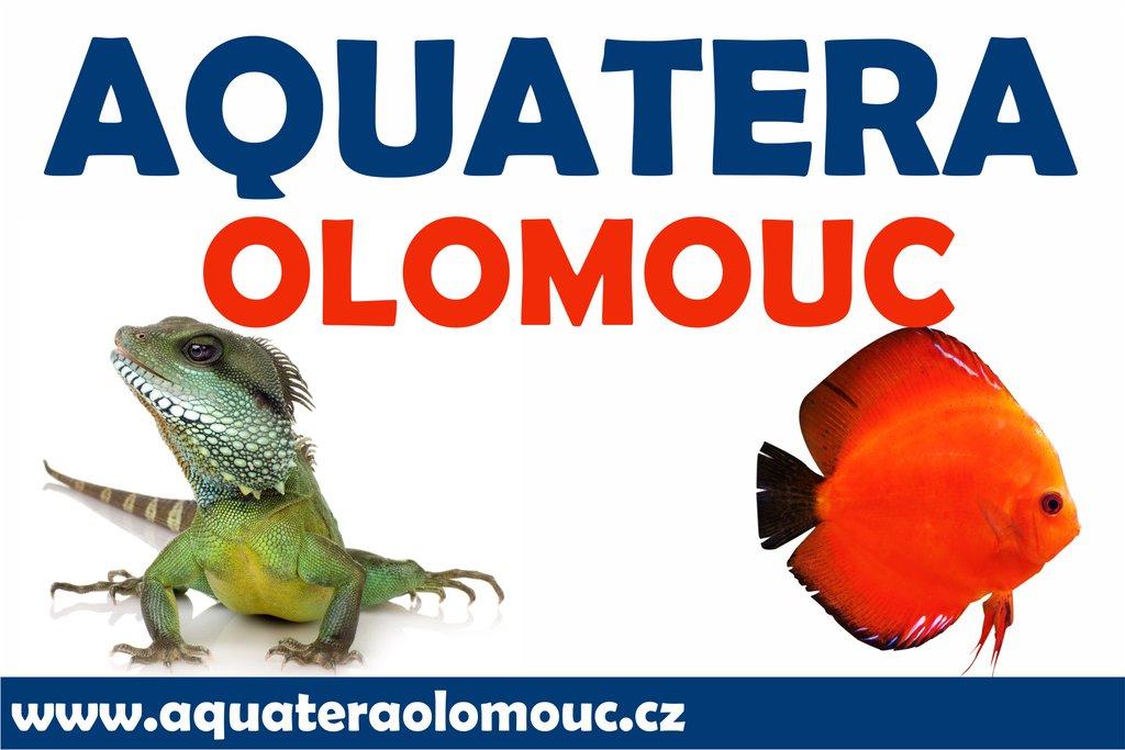 Aquatera Olomouc