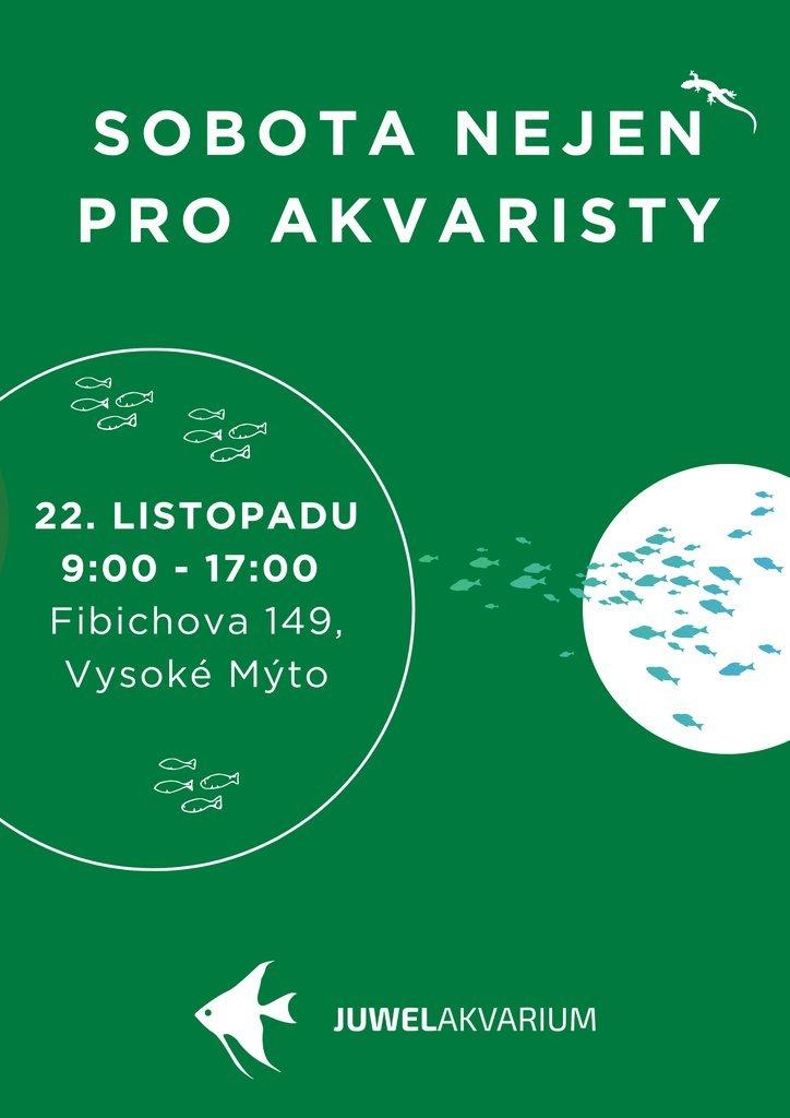 Sobota nejen pro akvaristy
