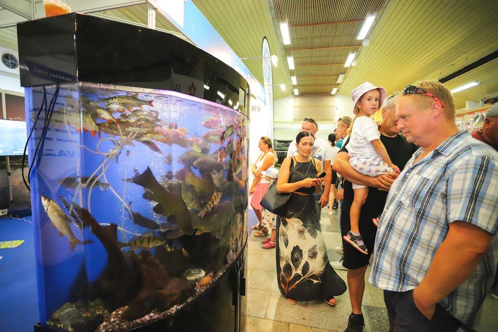 Země živitelka 2025