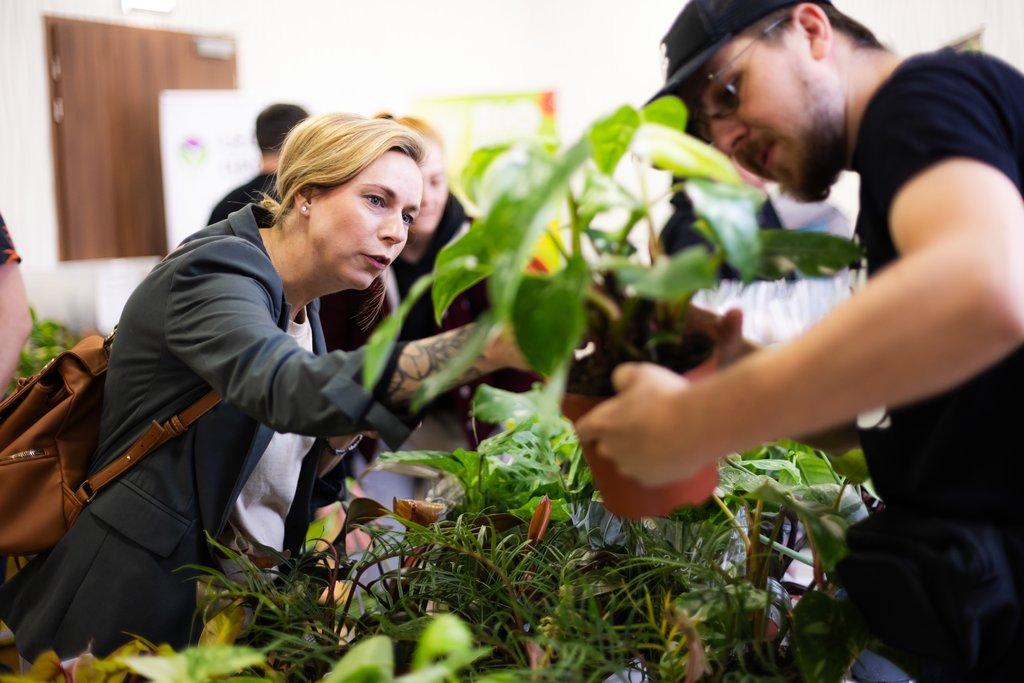 Happyplant Tábor - Prodejní akce pokojových rostlin