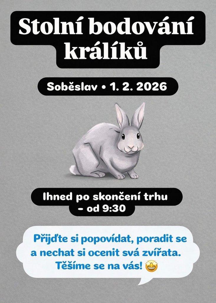 Stolní bodování králíků