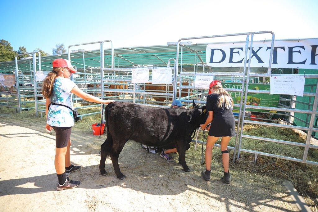 Země živitelka 2026 – Mezinárodní agrosalon v Českých Budějovicích