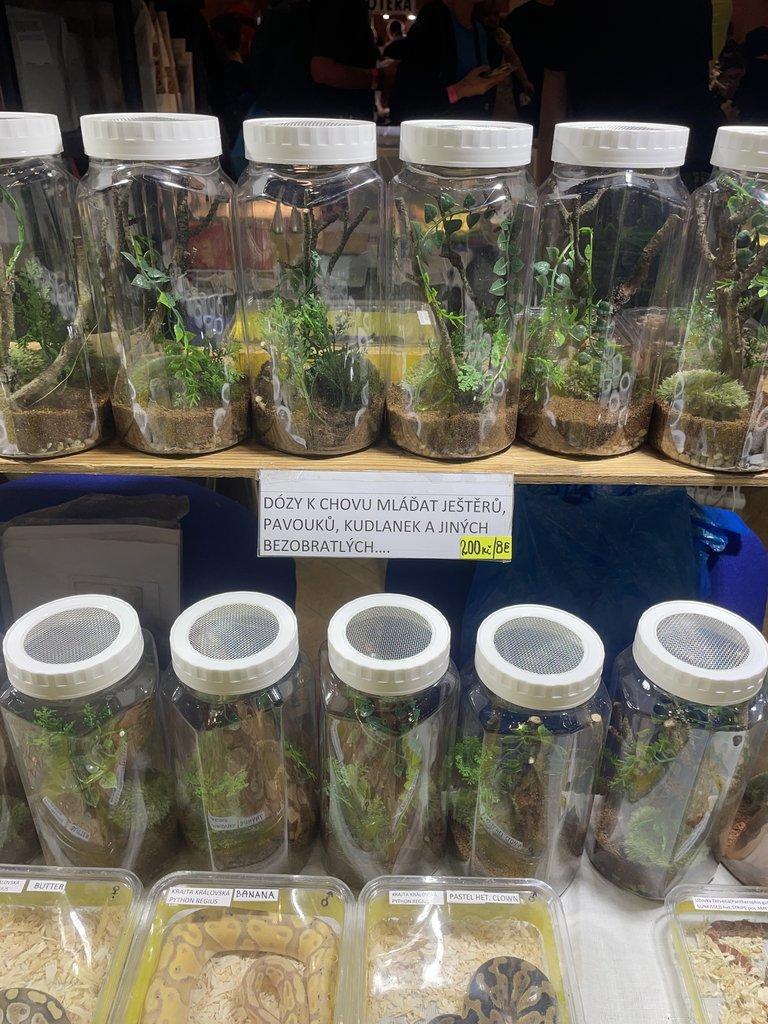 ŽIVÁ BOTANIKA 15.11.2025 - 🌸 Praha