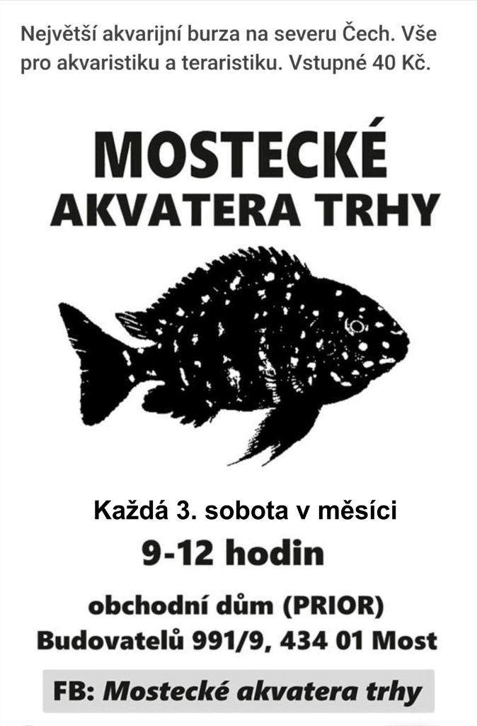 Mostecké akvatera trhy