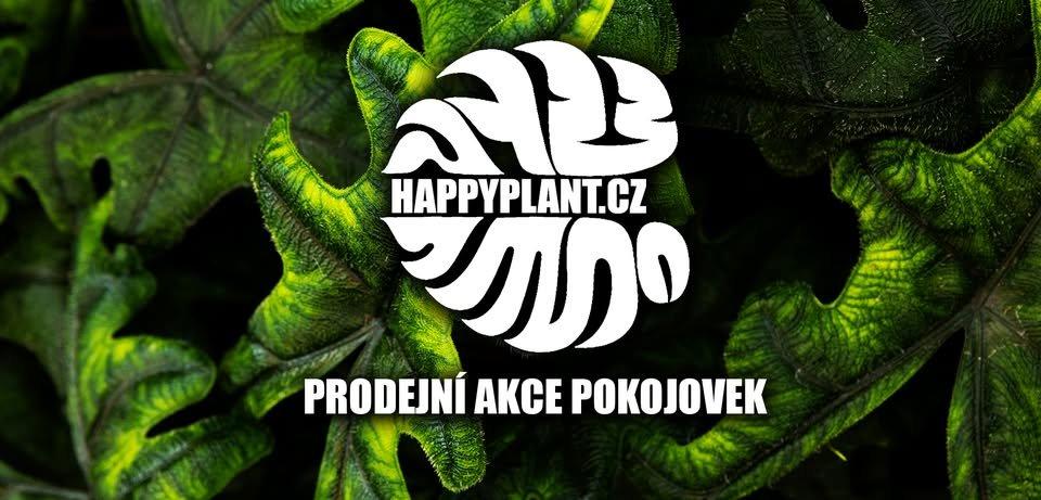 Happyplant Říčany - Prodejní akce pokojových rostlin