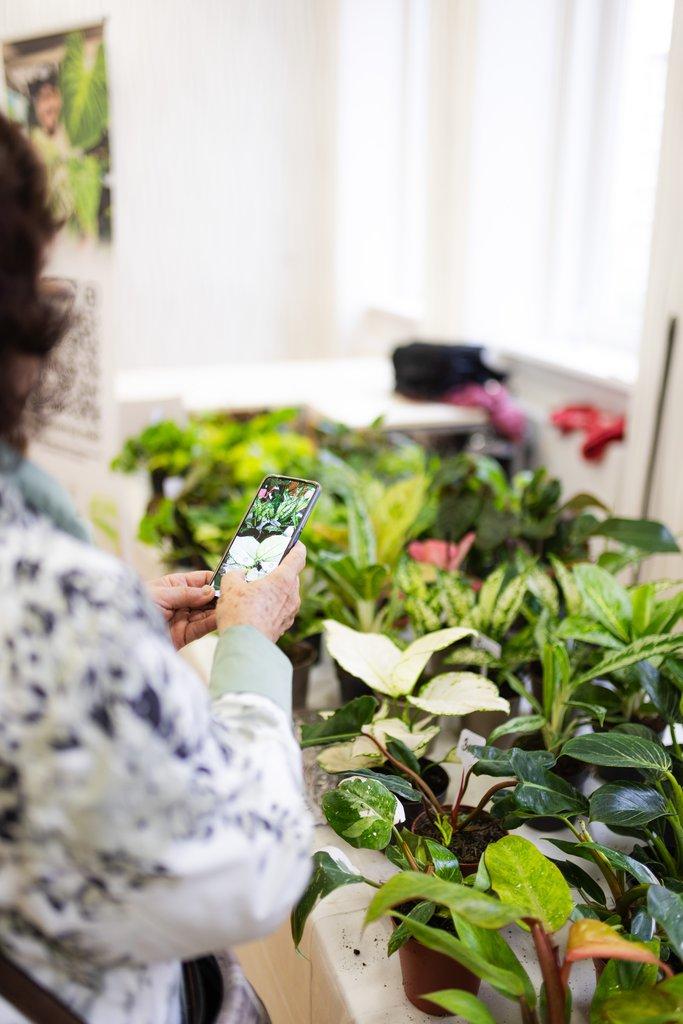Happyplant Tábor - Prodejní akce pokojových rostlin