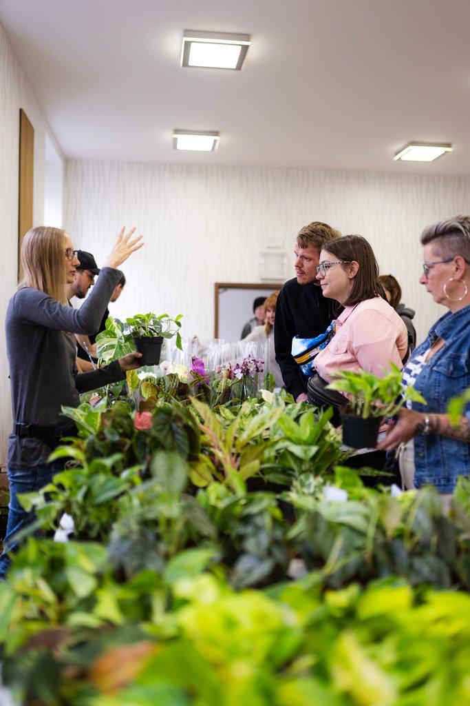 Happyplant Tábor - Prodejní akce pokojových rostlin