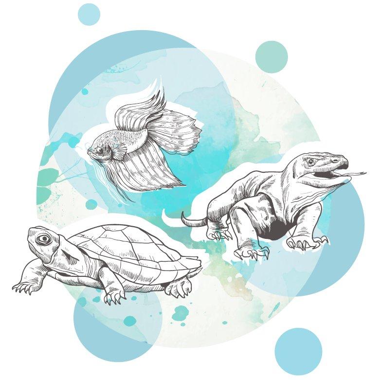 AkvaTera trhy Chodov