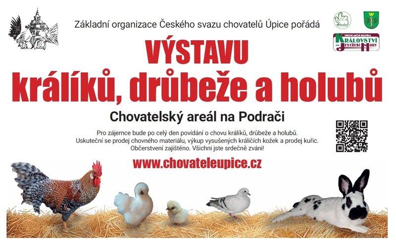 Jarní místní výstava králíků, drůbeže a holubů
