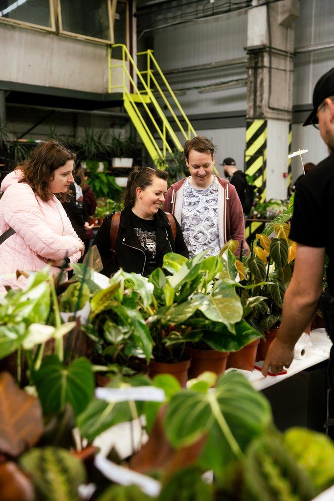 Happyplant Říčany - Prodejní akce pokojových rostlin