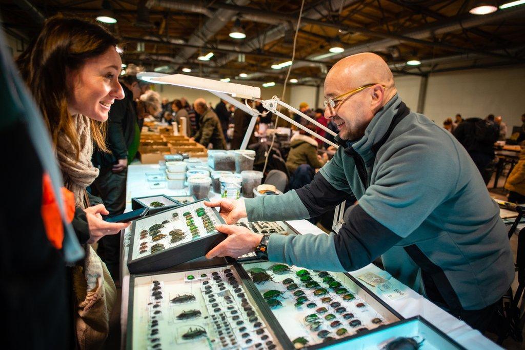 Prodejní výstava brouků a motýlů, Praha 8, hotel Olympik, 3.-4.10.2025