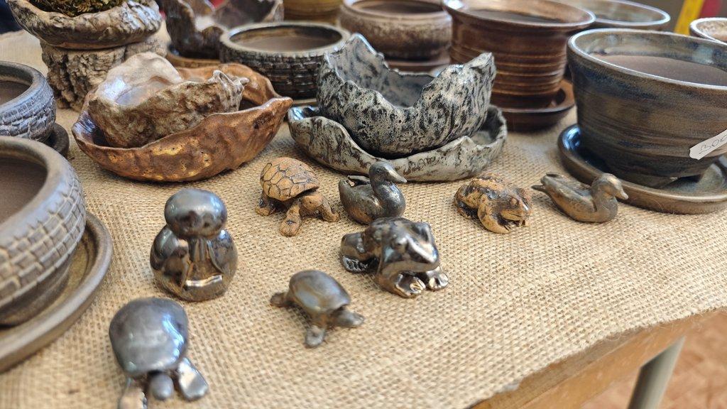 ŽIVÁ BOTANIKA 15.11.2025 - 🌸 Praha