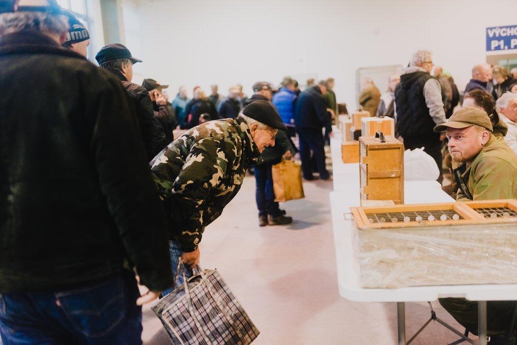 Chovatelské trhy - únor