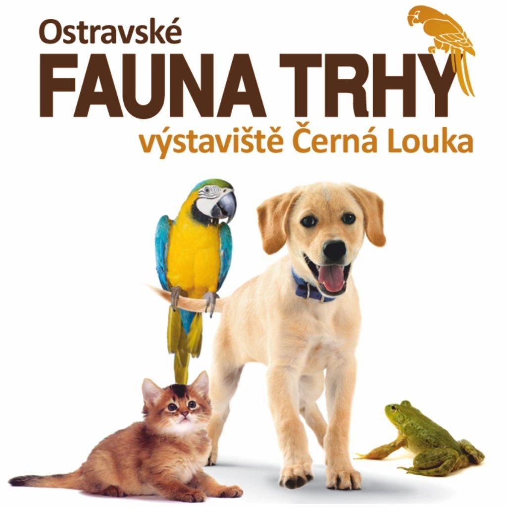 Ostravské Fauna Trhy