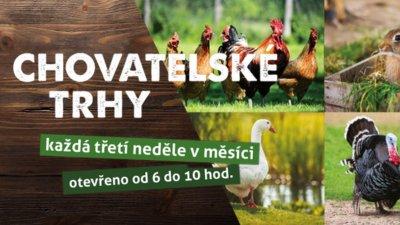 Chovatelské trhy - červen