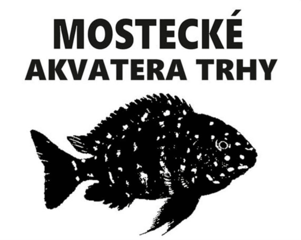Mostecké akvatera trhy