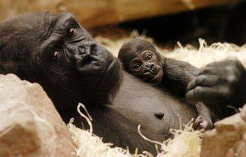 Pololetní prázdniny v Zoo Praha 2026