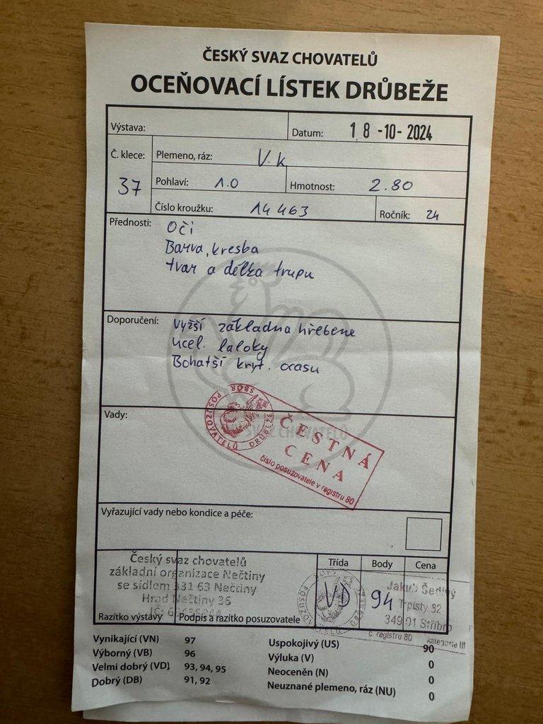 Vlaška koroptví - násadová vejce