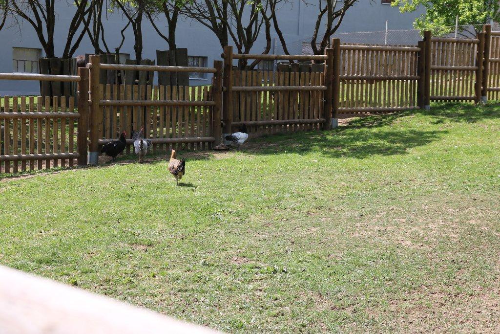 Pronájem celé samostatné stáje s výběhy