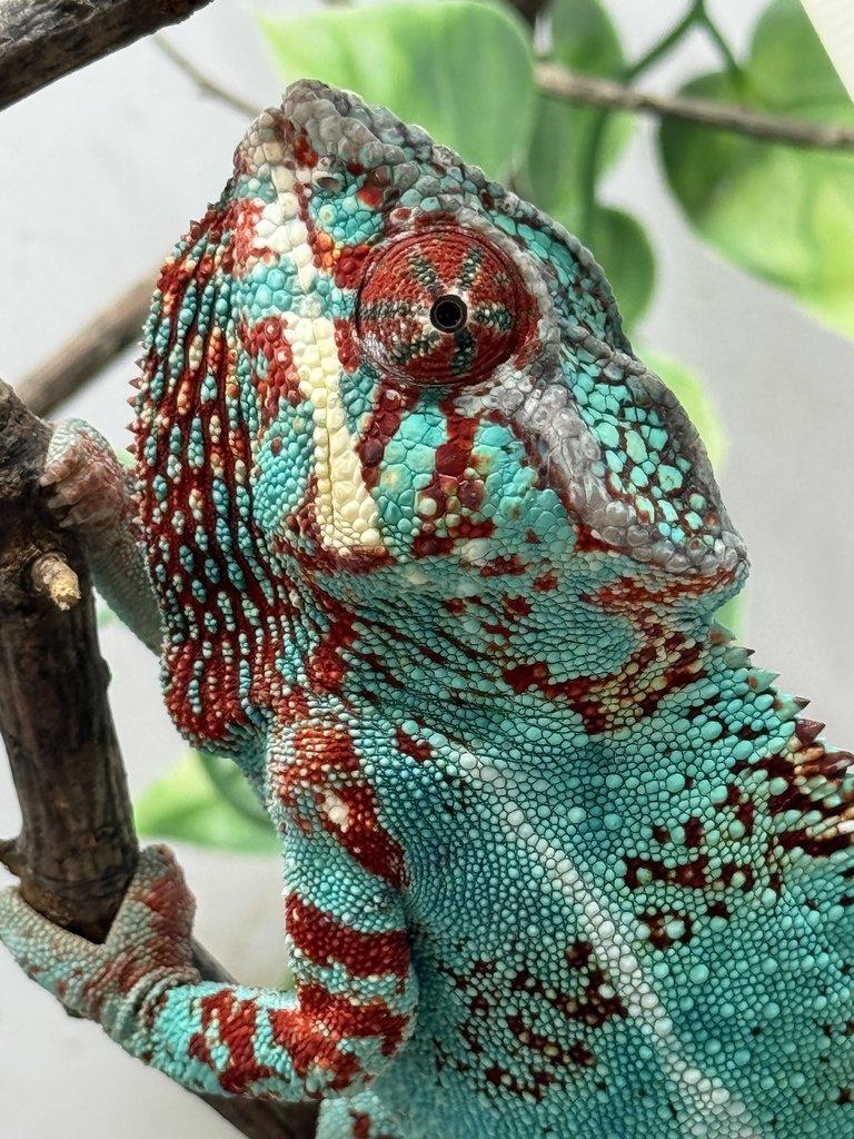 Nosy be 💙💙💙💙💙💙