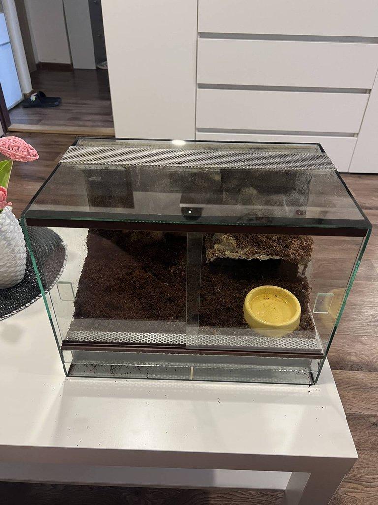 Terarium