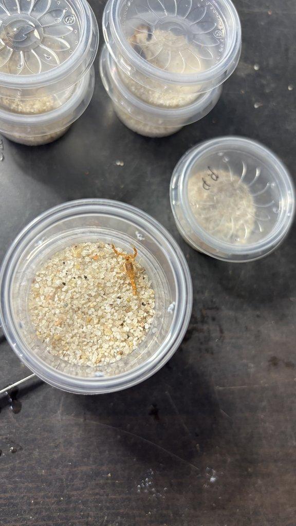 Živá exotika 20.12