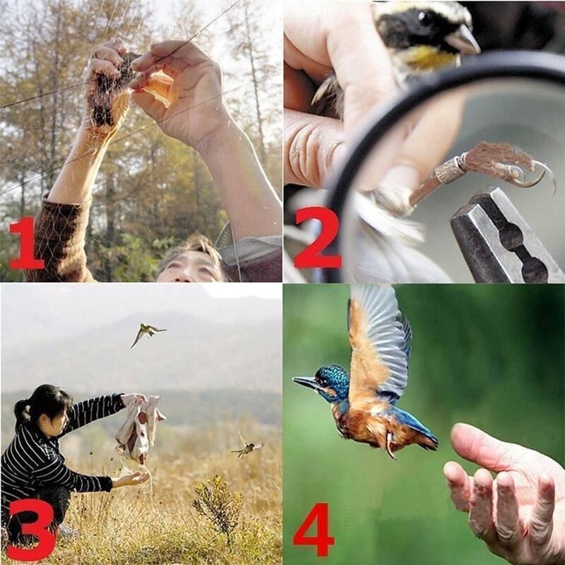 Síť k odchytu malých ptáků 10 x 3 metrů Ornitologická síť