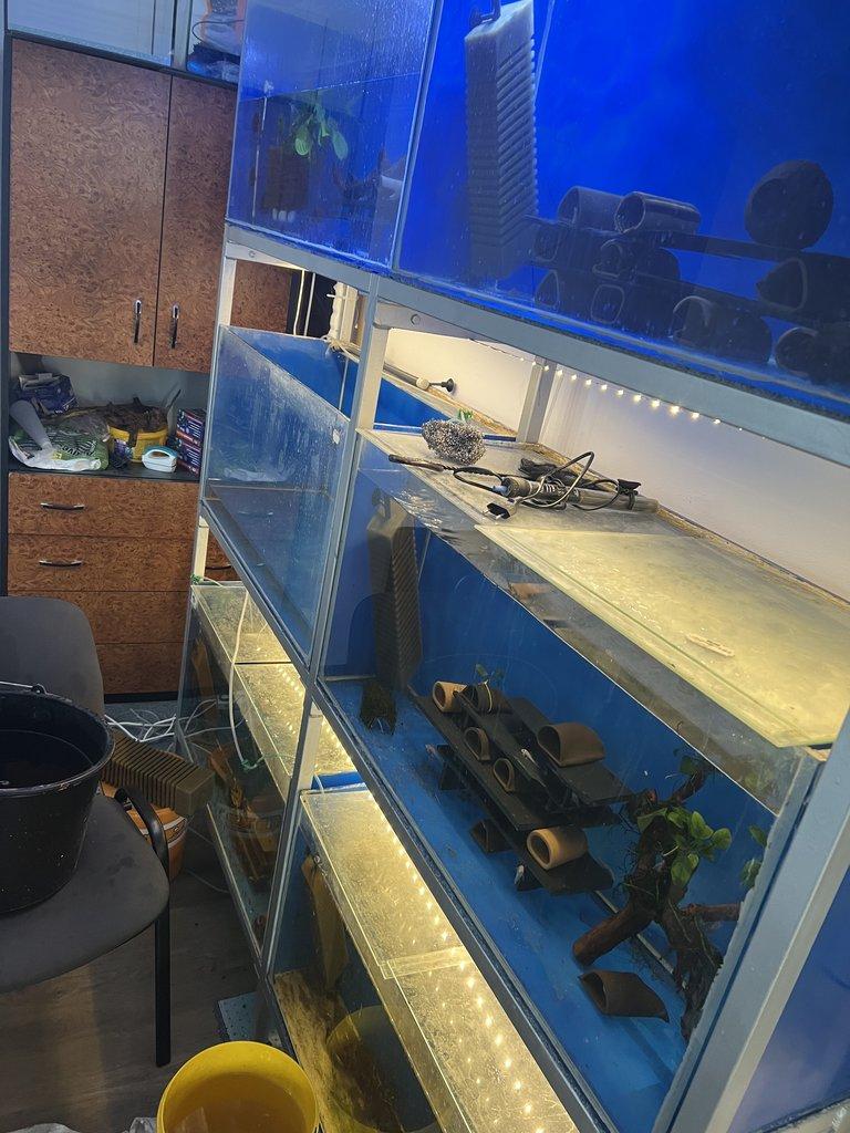 Daruji cca 30 akvarii