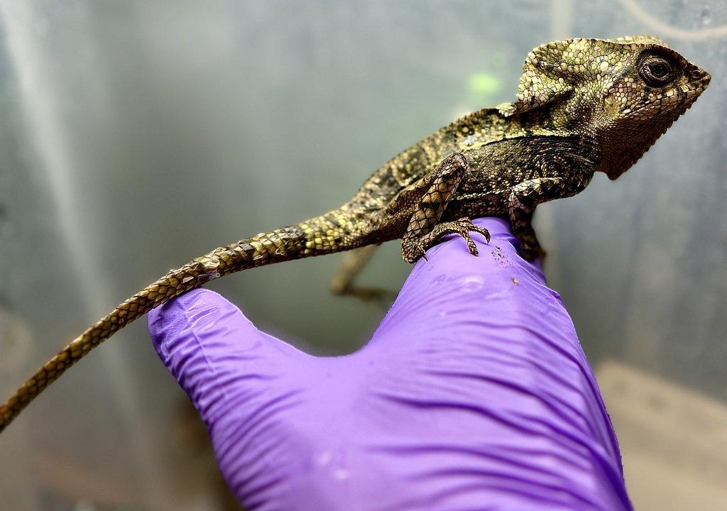 Fresh import odběr po dohodě.