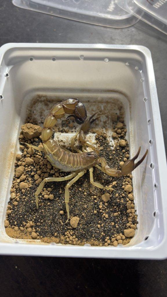 Tera České Budějovice 21.12