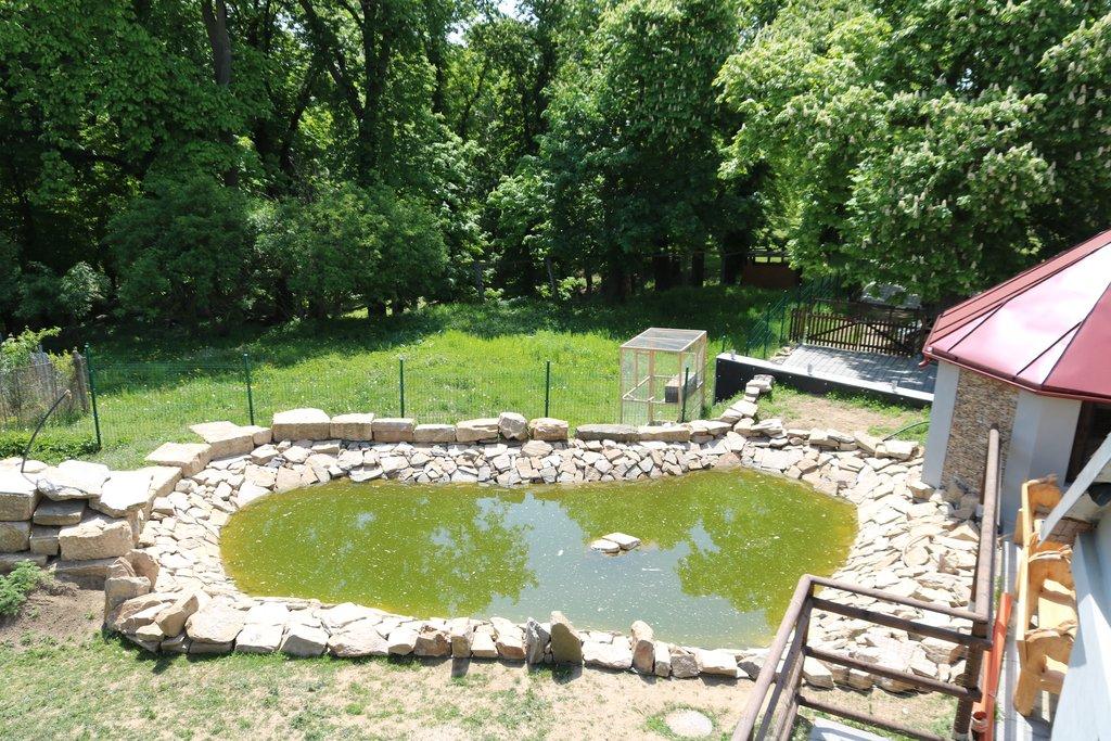 Pronájem celé samostatné stáje s výběhy