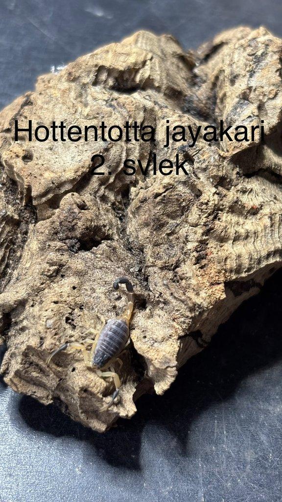 Štíři aktuální nabídka 21.4.