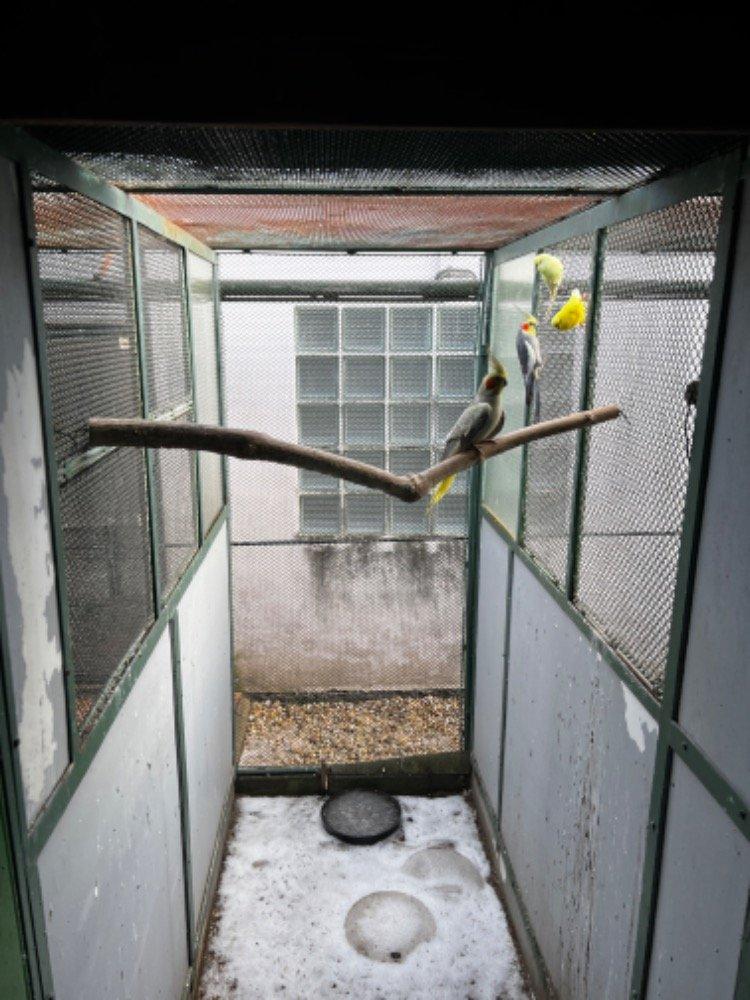 prodej venkovních voliér