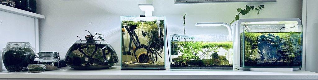 Akvária na míru