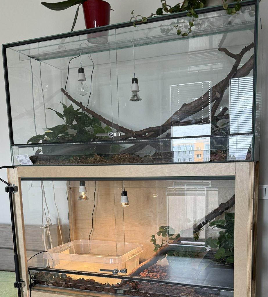 Prodám regál a dvě terária