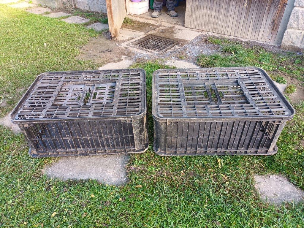 Přepravky na drůbež