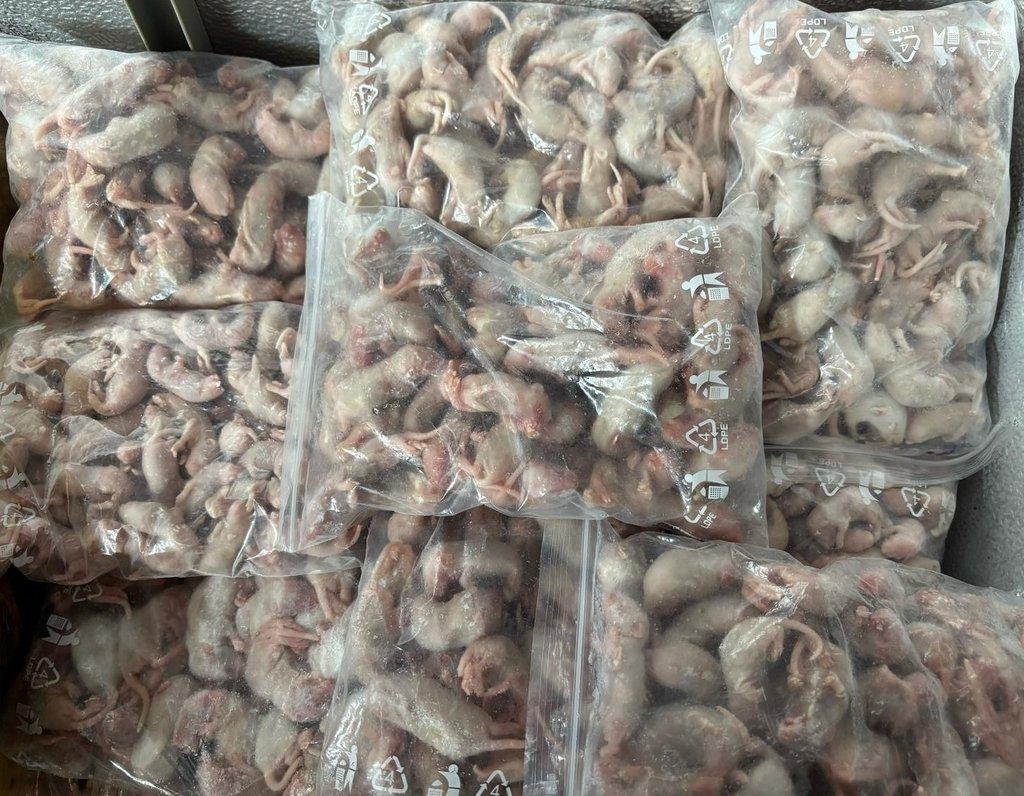 Prodám mražené myši