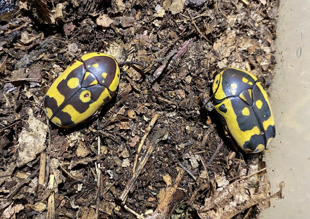 Nabídka březen 2026