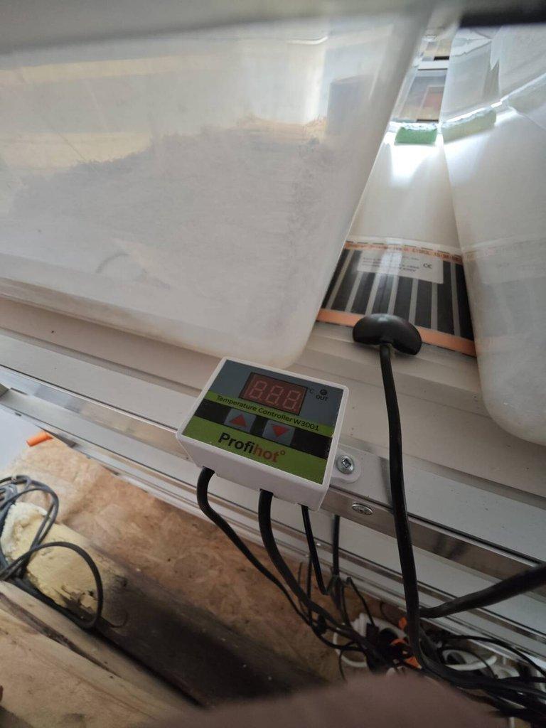 Alu rack systém teráriá pre hady