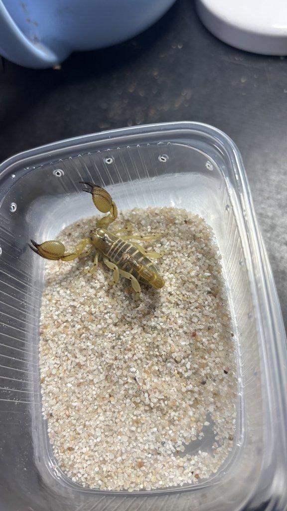 Živá exotika 20.12