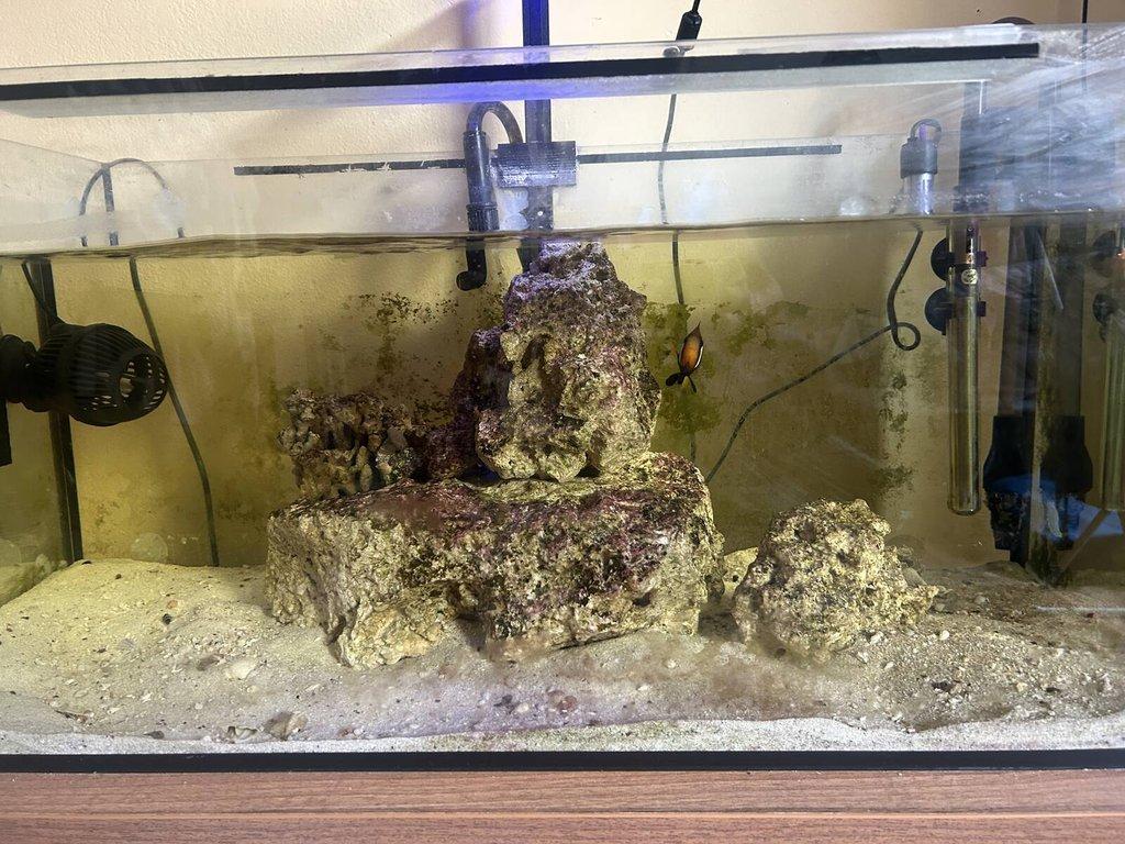 Morské akvárium 80x40x40