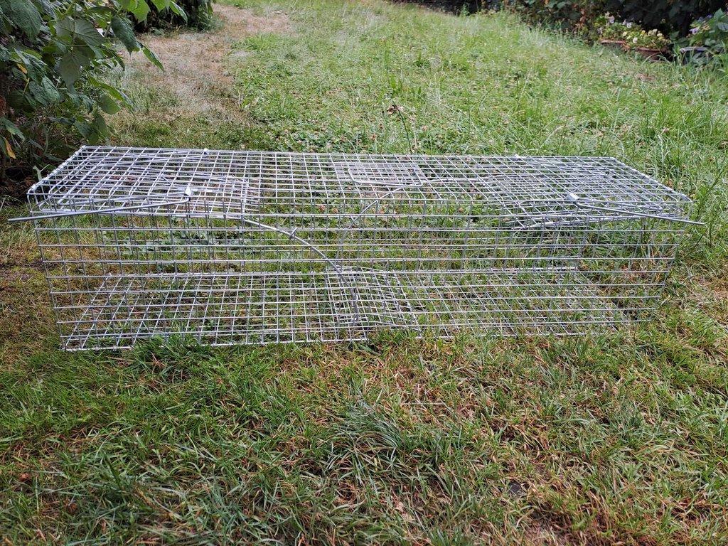 Pasti a sklopce na škodnou